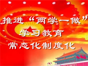 推進“兩學(xué)一做”學(xué)習(xí)教育常態(tài)化制度化